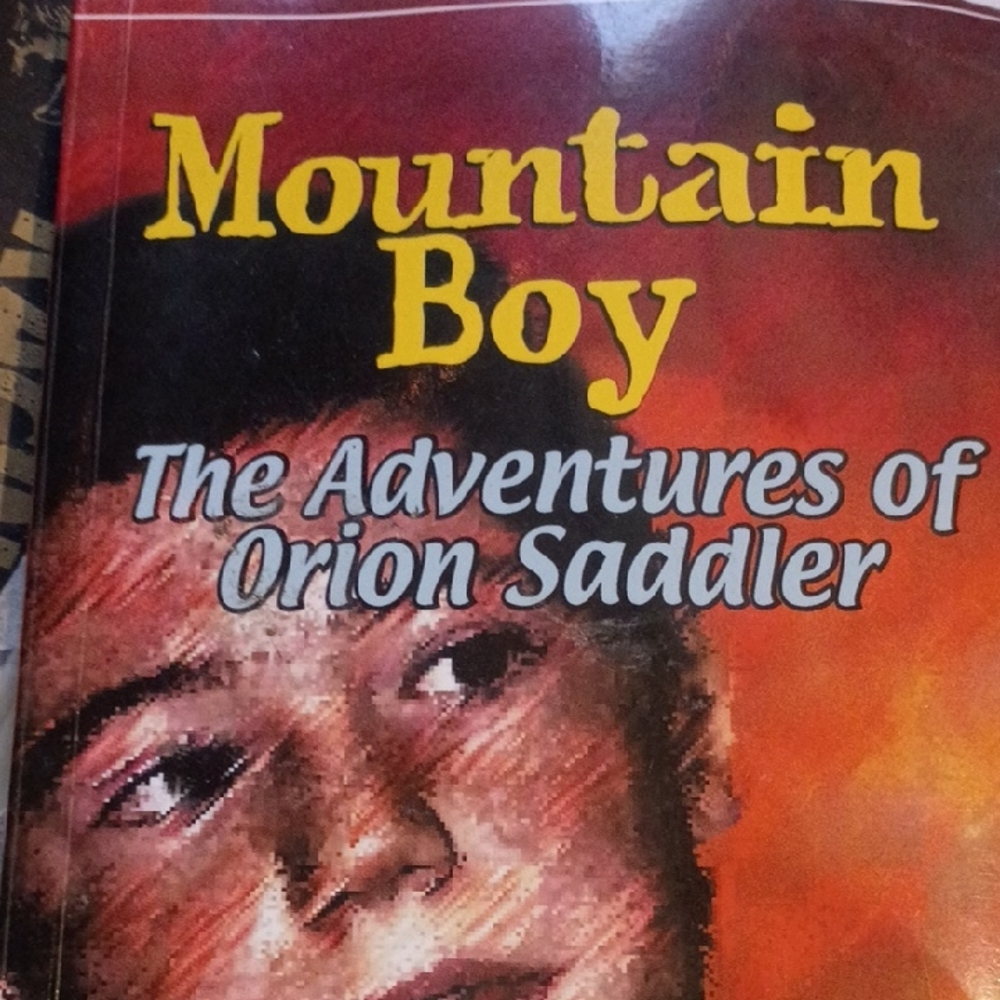 Mountain Boy Book Cover
